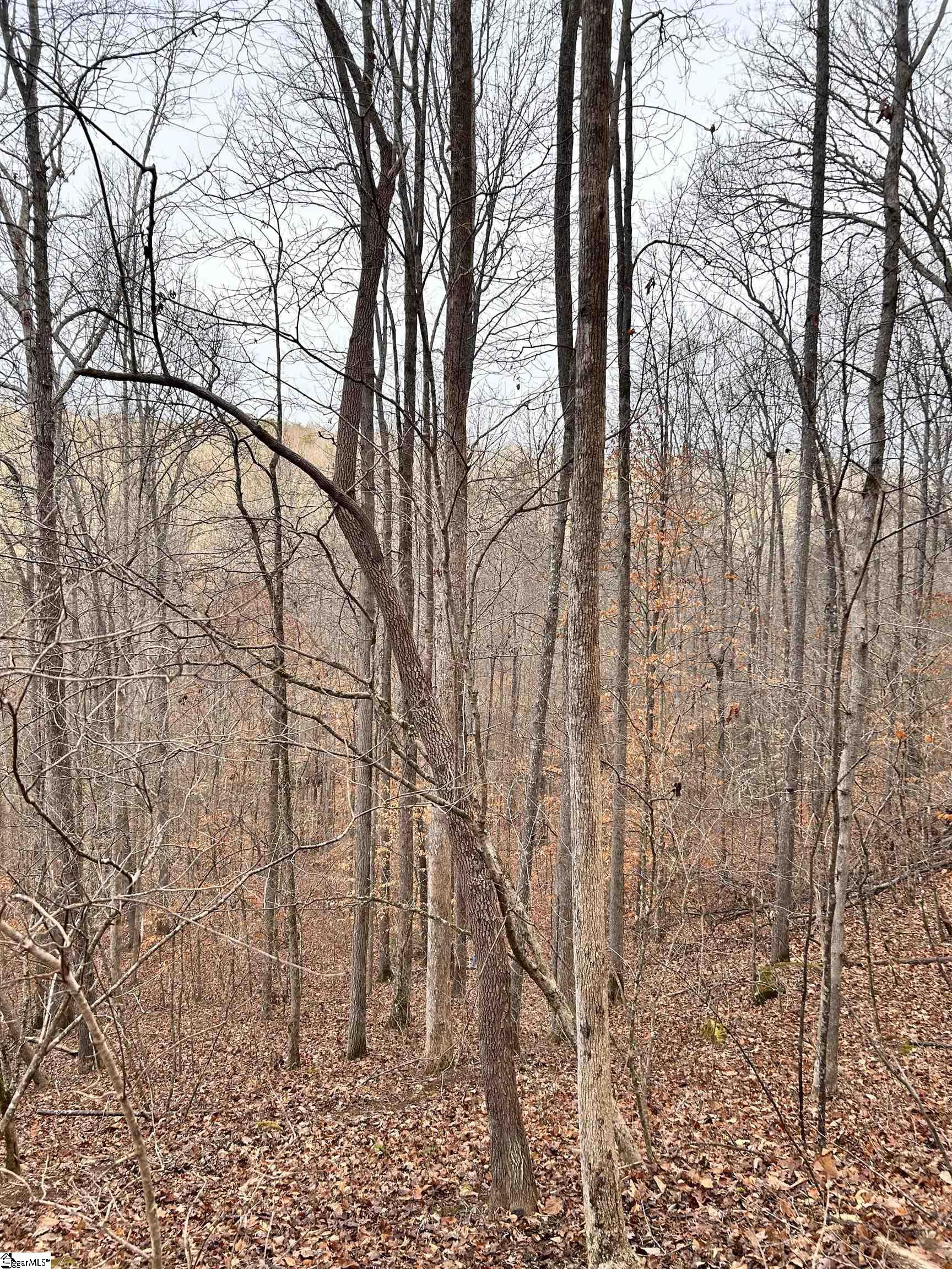 0 Little Crowe Creek Road Pickens, SC 29671 - Photo 8 of 26