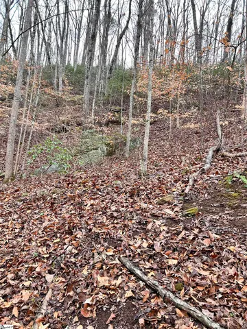 $396,159 | 0 Little Crowe Creek Road, Pickens, SC 29671