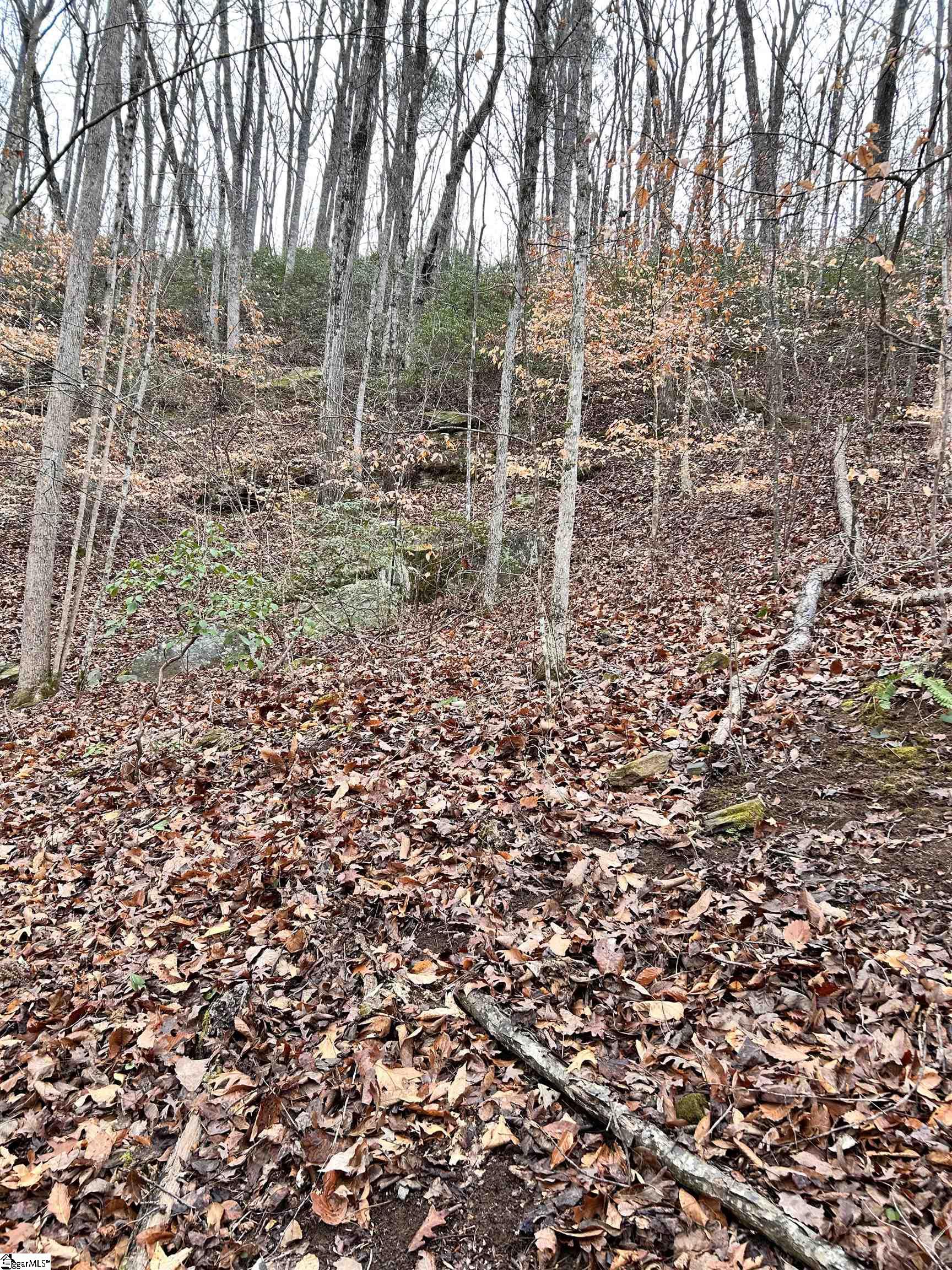 0 Little Crowe Creek Road Pickens, SC 29671 - Photo 9 of 26