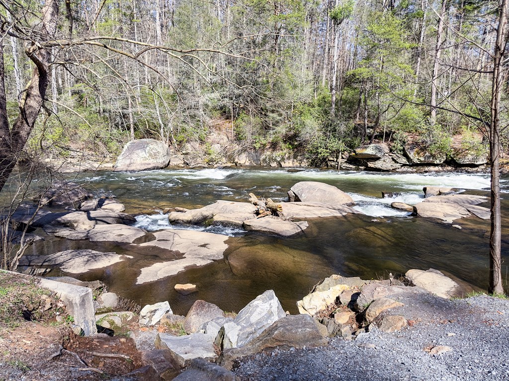 145 River Bend Lane Blue Ridge, GA 30513 - Photo 58 of 66