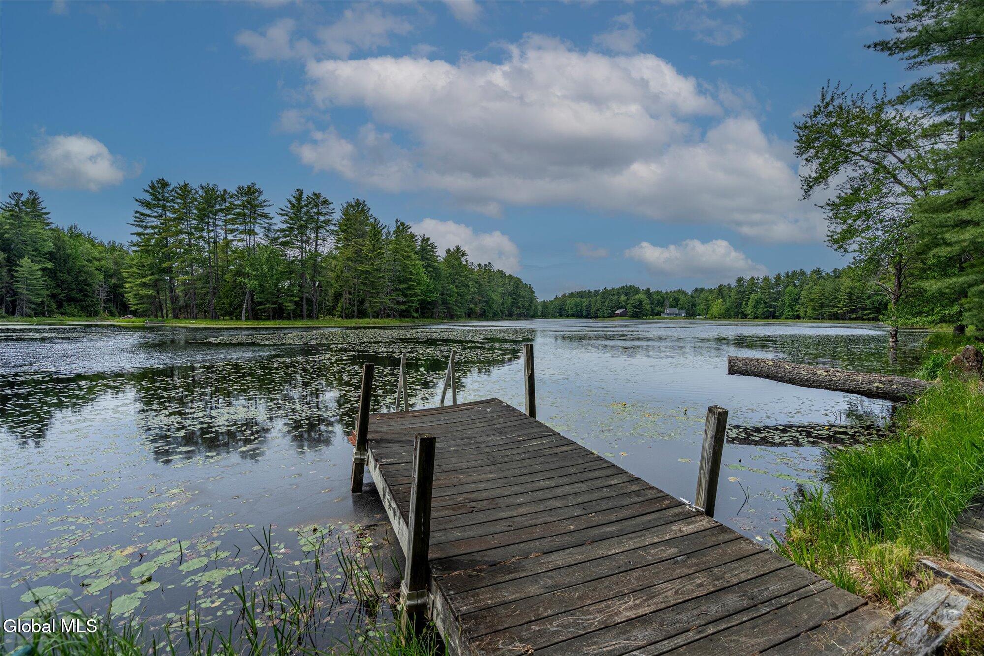 175 Antler Lake Road Johnsburg, NY 12886 - Photo 9 of 54 51-ADK-51