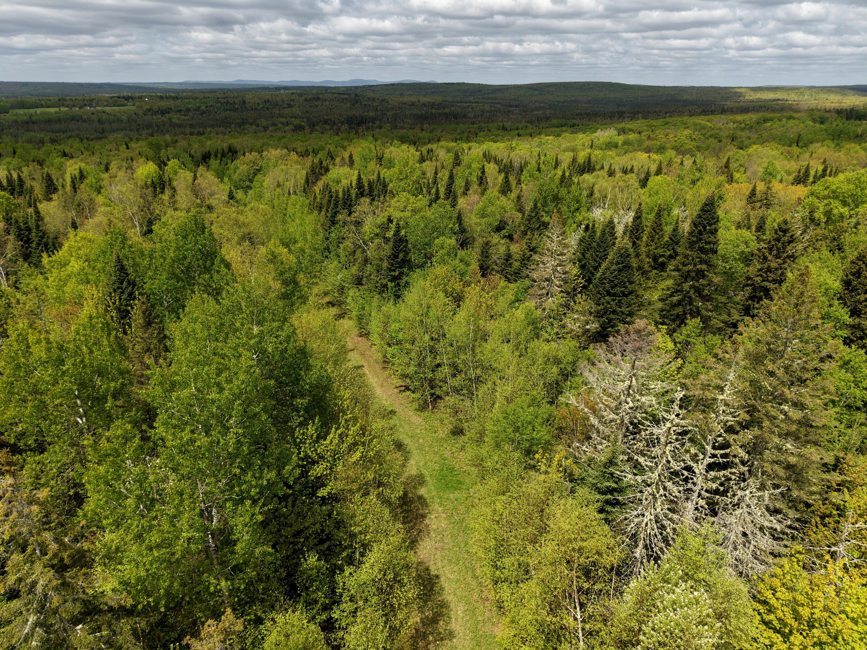 96 Erickson Road Perham, ME 04766 - Photo 13 of 38 46112