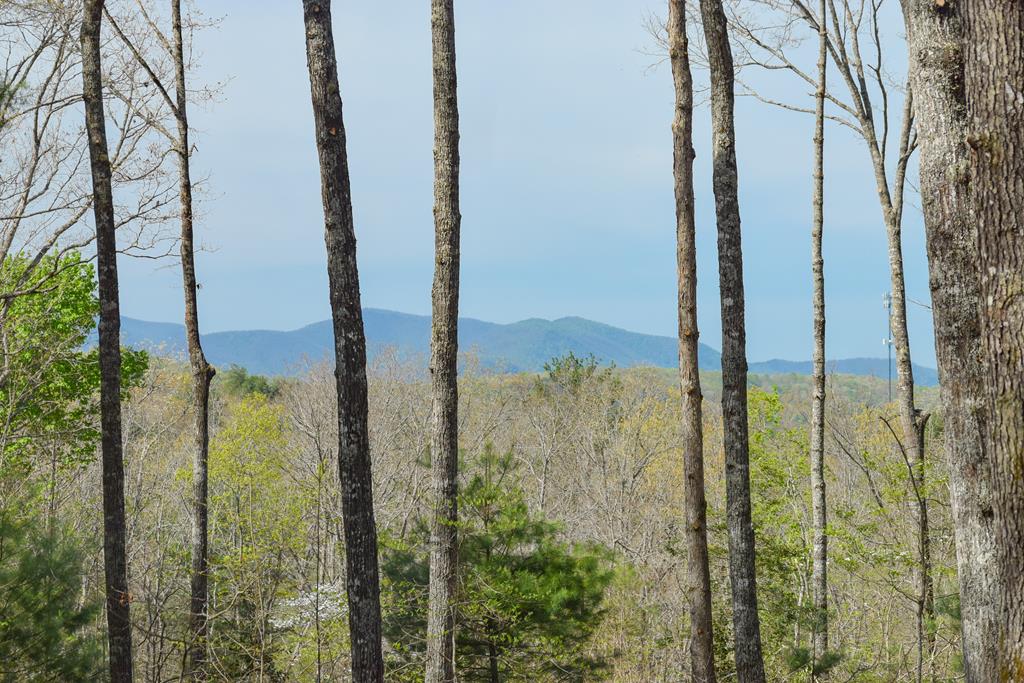 375 Ridge Brook Drive Morganton, GA 30560 - Photo 2 of 34