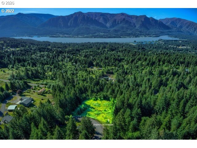 a view of an outdoor space and a yard