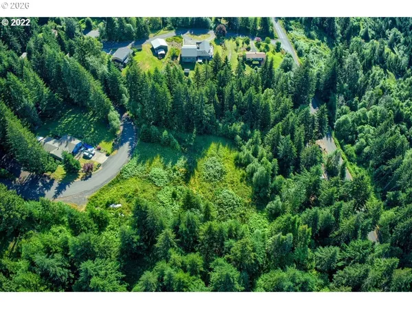 a view of a yard with plants and large trees