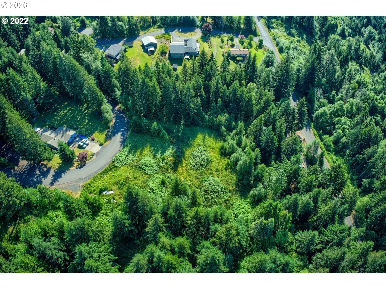 281 Stewart Road Stevenson, WA 98648 - Photo 3 of 6 a view of a yard with plants and large trees