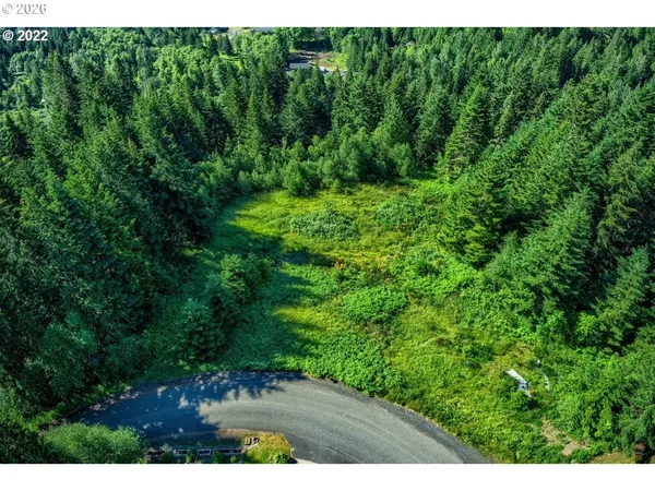 a view of backyard with green space