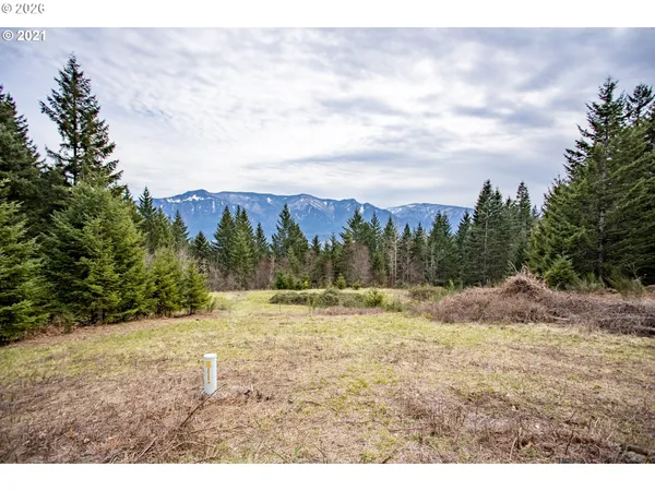 a view of outdoor space with mountain view
