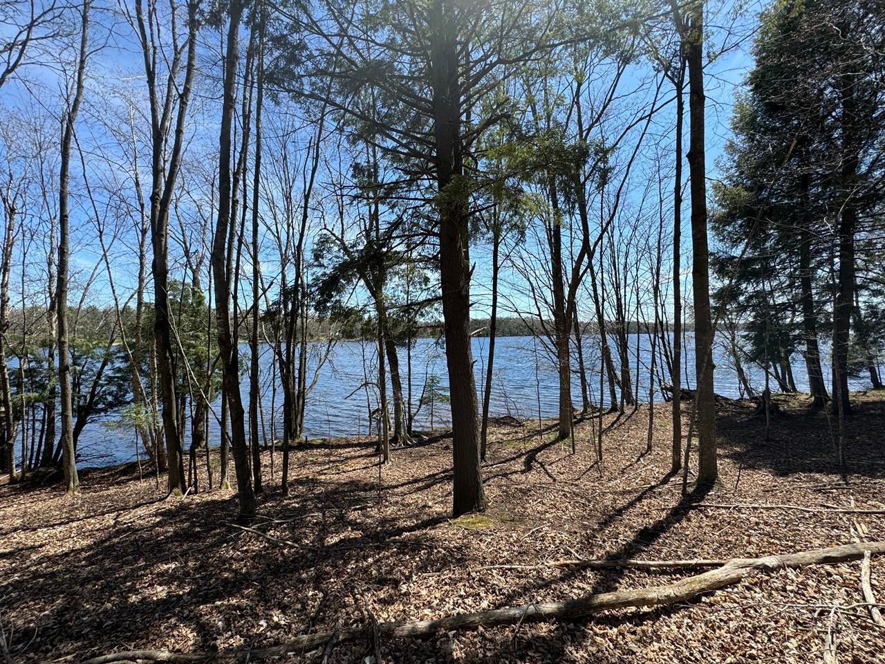 Lot 1 Black Forest Road Presque Isle, WI 54557 - Photo 1 of 18 Gallery Image 1