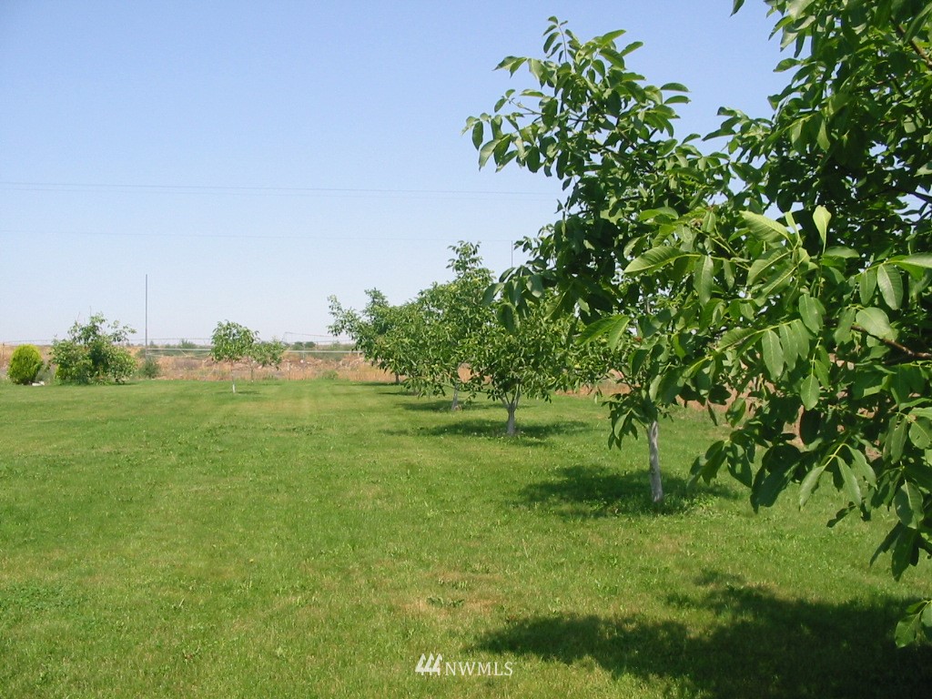 2005 West Atkinson Road Othello, WA 99344 - Photo 9 of 25