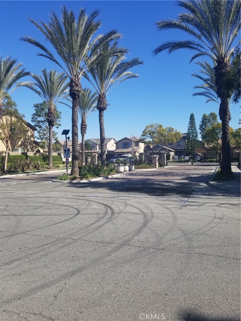 front view of multiple houses with a yard and palm trees