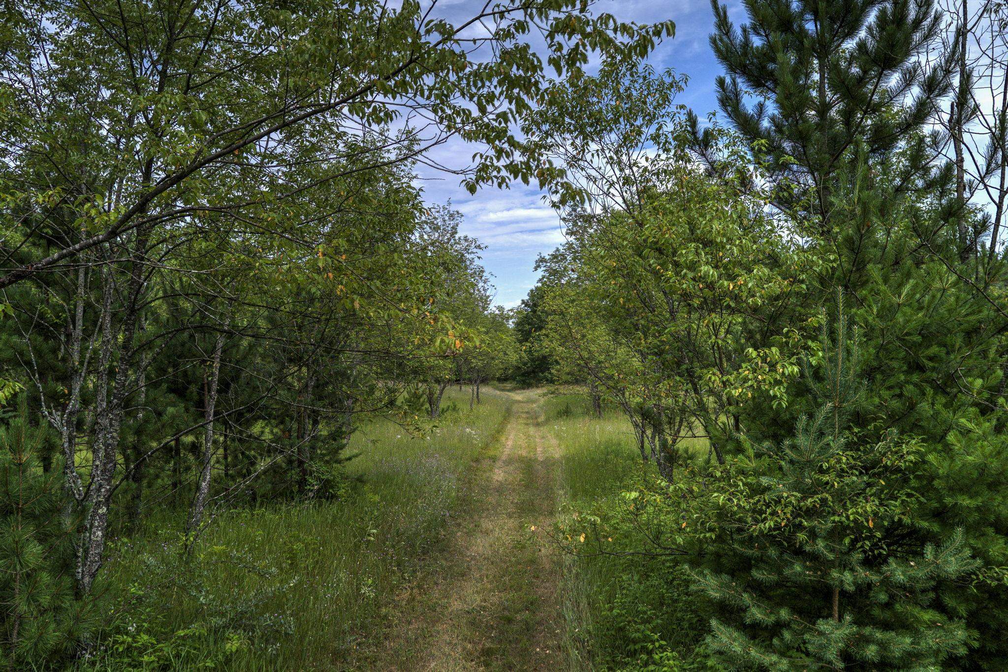 2625 Walton Road Kingsley, MI 49649 - Photo 56 of 59