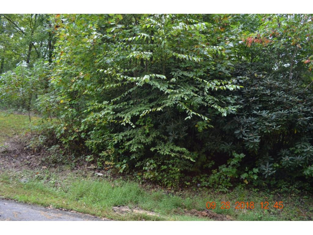 135 Pine Ridge Drive Erwin, TN 37650 - Photo 3 of 7 Photo 3
