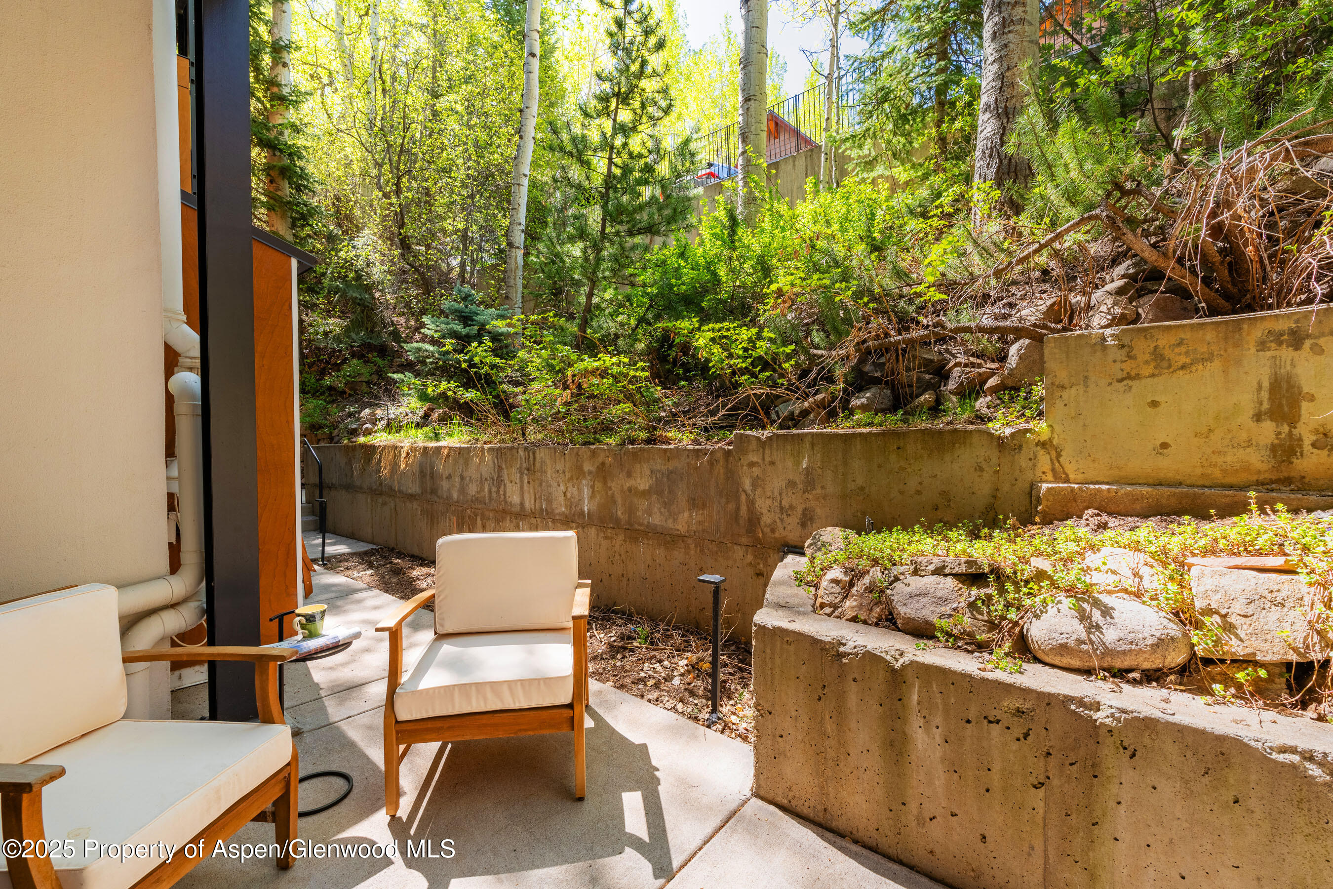 800 South Mill Street, Unit 105 Aspen, CO 81611 - Photo 23 of 28 FifthAve105_DASH34