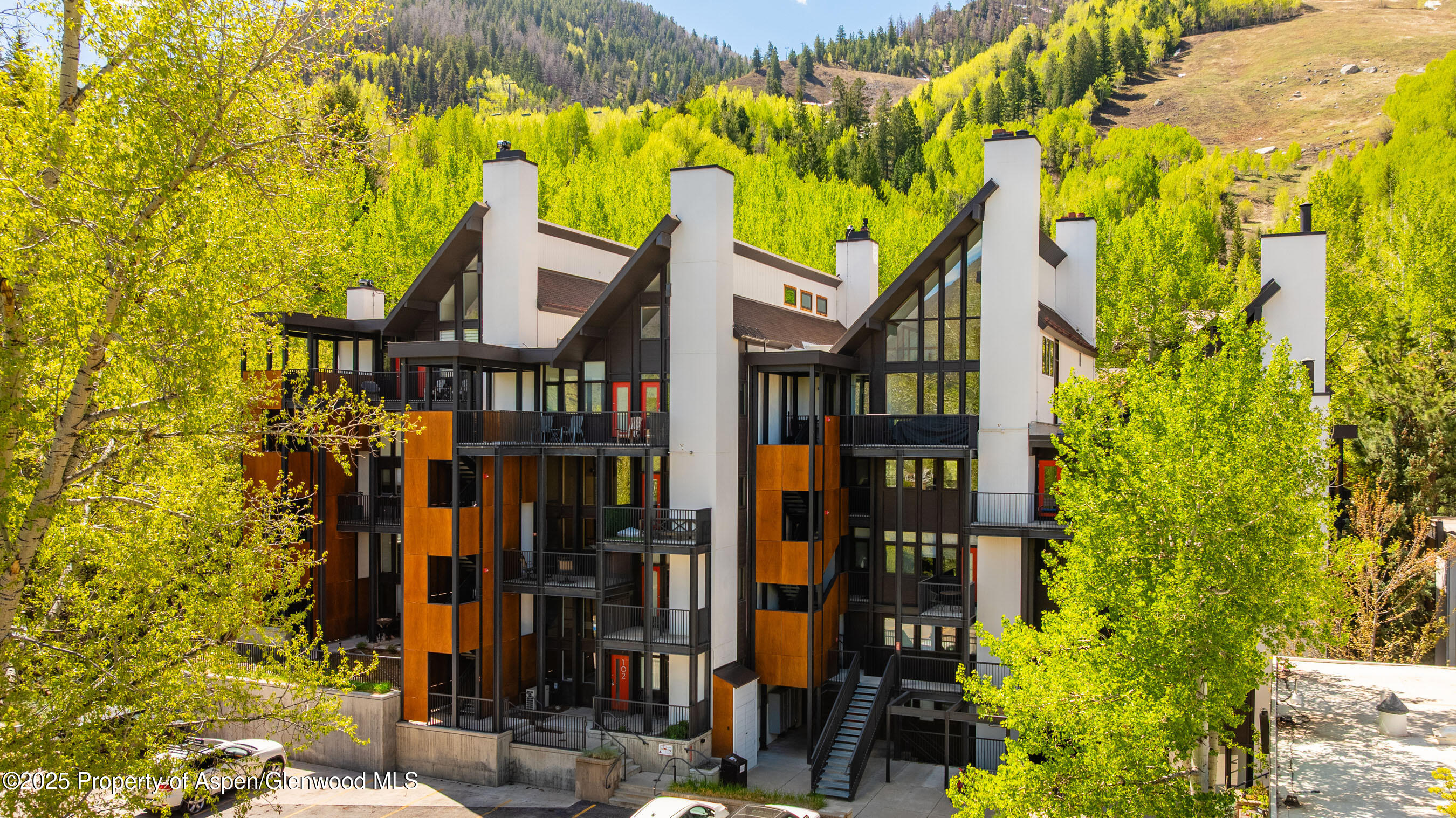 800 South Mill Street, Unit 105 Aspen, CO 81611 - Photo 28 of 28 FifthAve105_DASH38