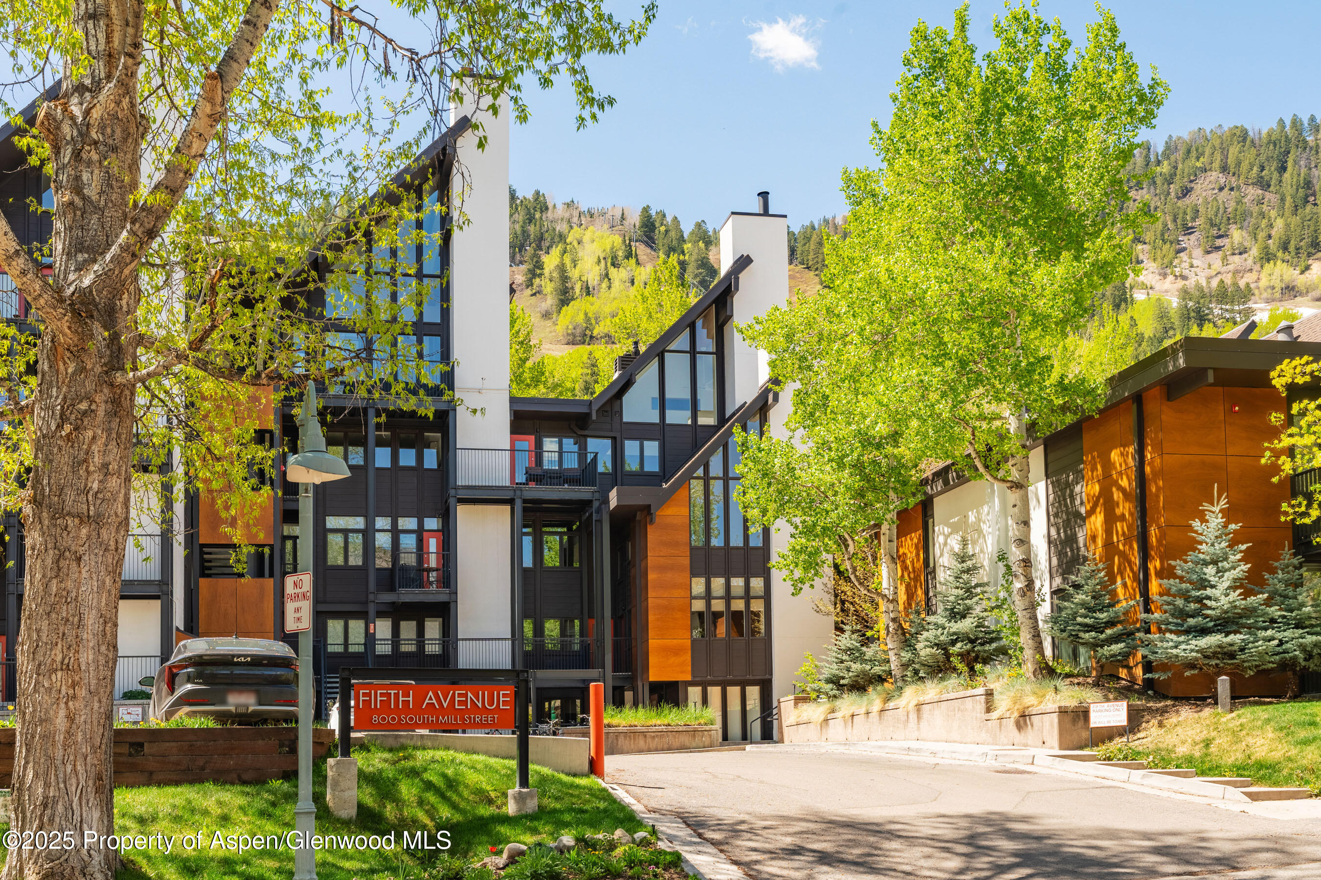 800 South Mill Street, Unit 105 Aspen, CO 81611 - Photo 3 of 28 FifthAve105_DASH37