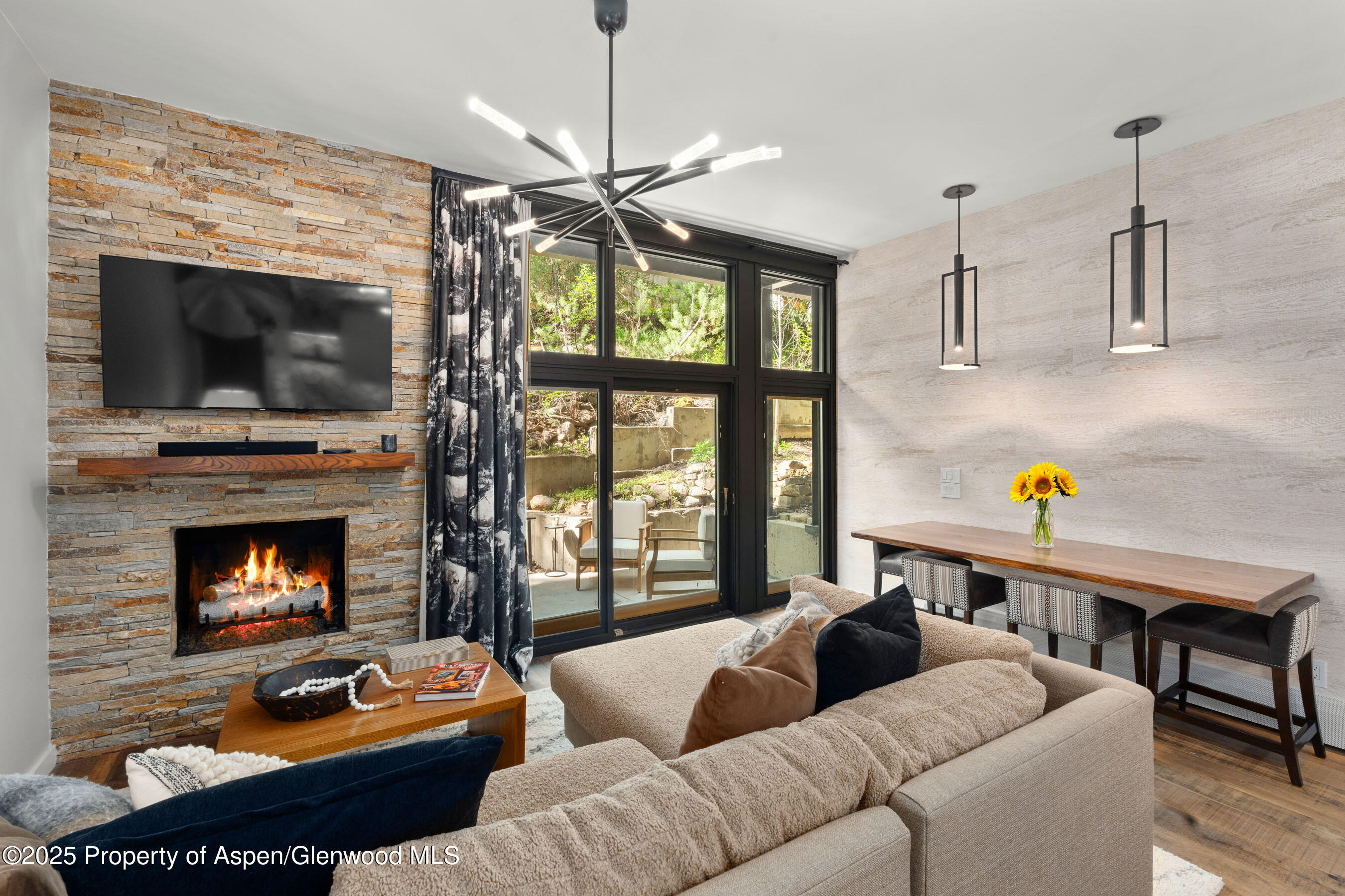 800 South Mill Street, Unit 105 Aspen, CO 81611 - Photo 4 of 28 FifthAve105_DASH3