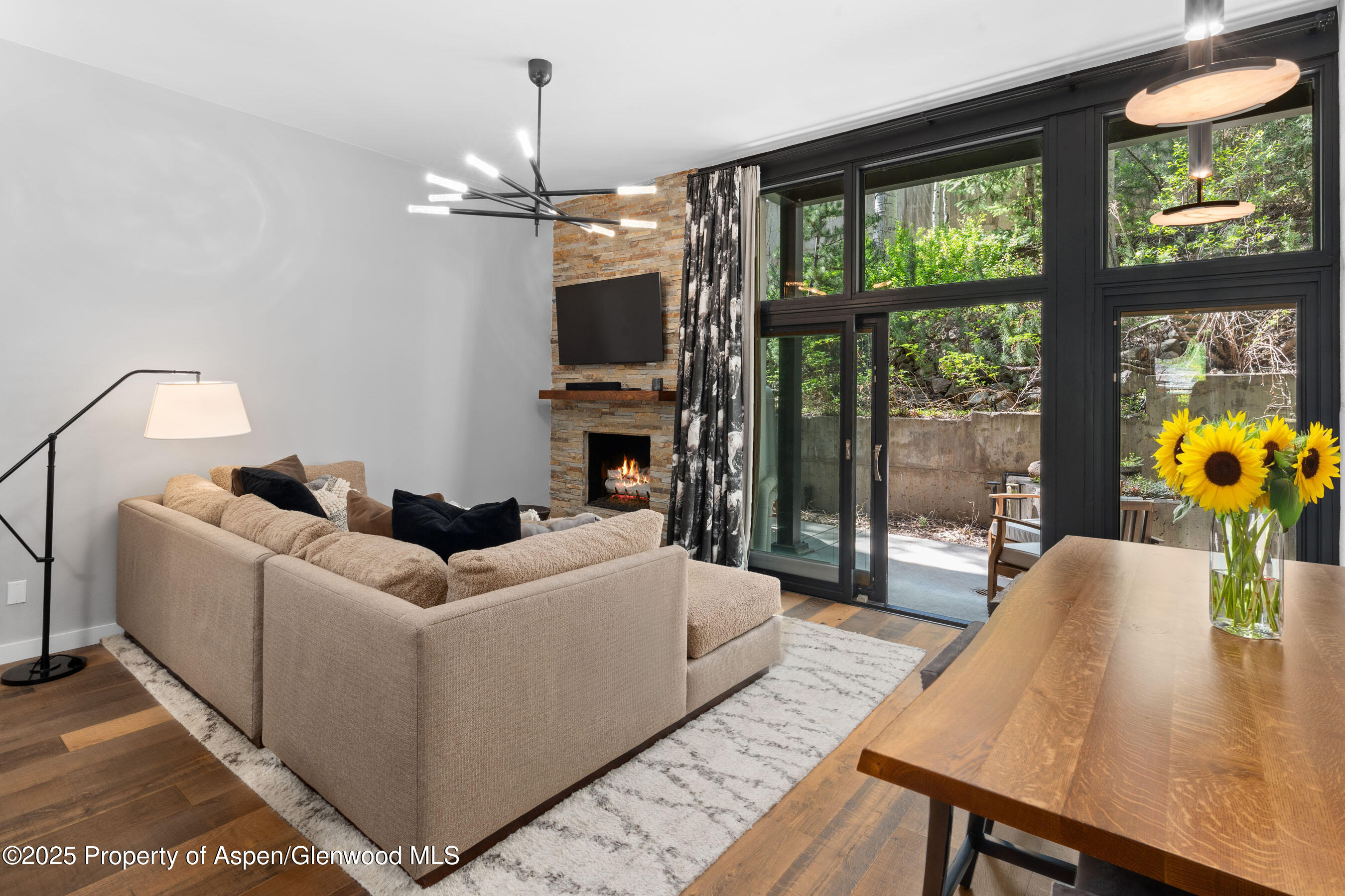 800 South Mill Street, Unit 105 Aspen, CO 81611 - Photo 7 of 28 FifthAve105_DASH10