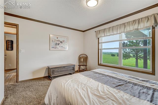 21445 Scott Road Calhan, CO 80808 - Photo 24 of 50 Gallery Image 24
