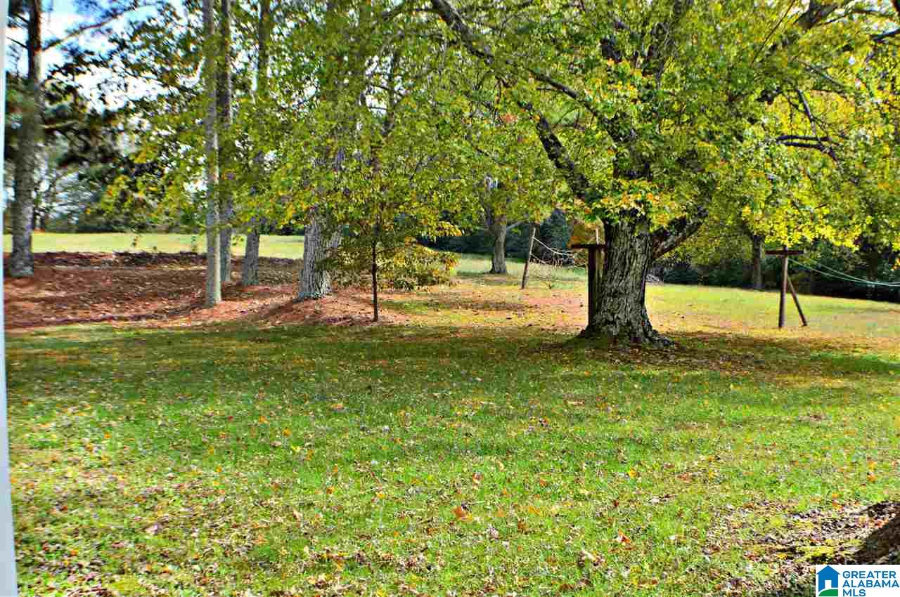 4157 Highway 55 East Eva, AL 35621 - Photo 21 of 23