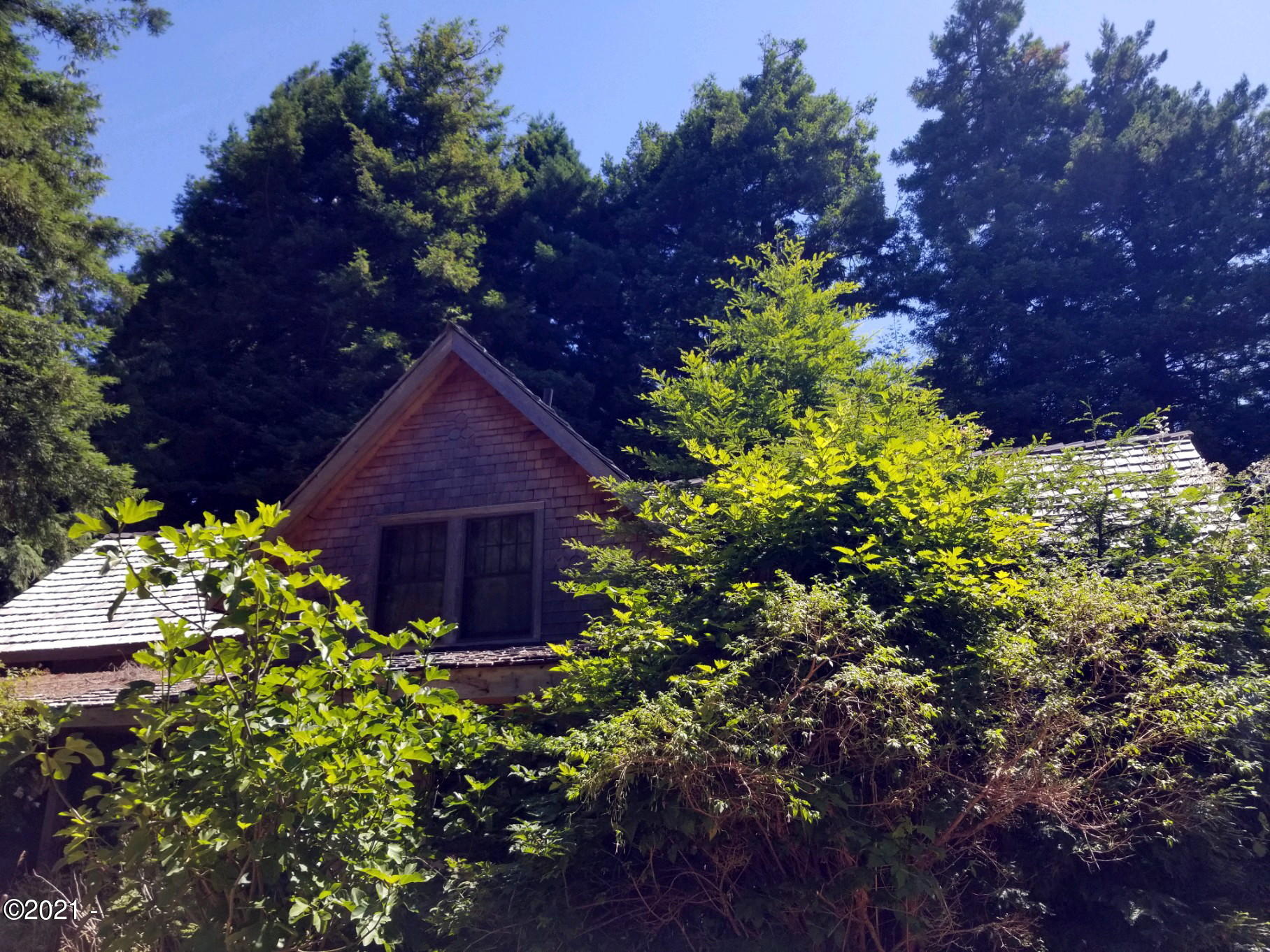 3204 North Bayview Road Waldport, OR 97394 - Photo 50 of 69 Home