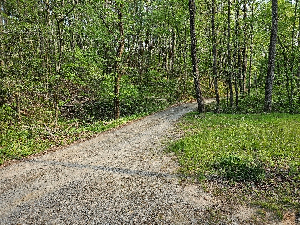 22.39-ac Johnson Creek Road Murphy, NC 28906 - Photo 8 of 21 Gallery Image 8