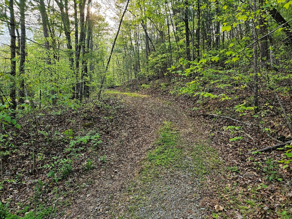 22.39-ac Johnson Creek Road Murphy, NC 28906 - Photo 10 of 21 Gallery Image 10