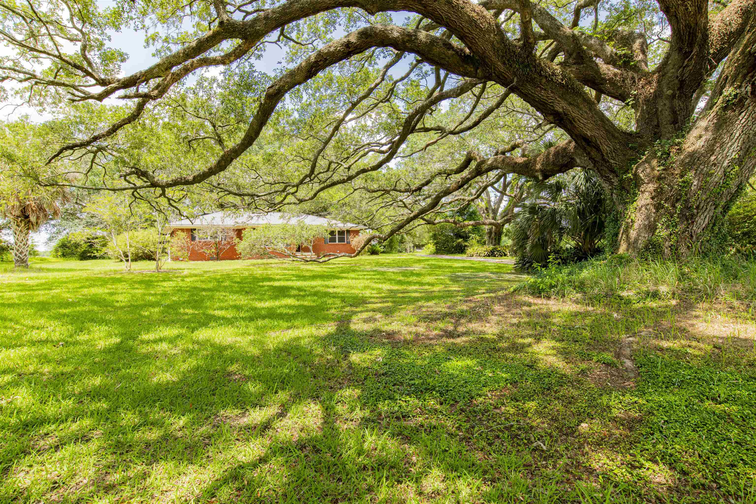 18347 Underwood Road Foley, AL 36535 - Photo 24 of 40 Yard