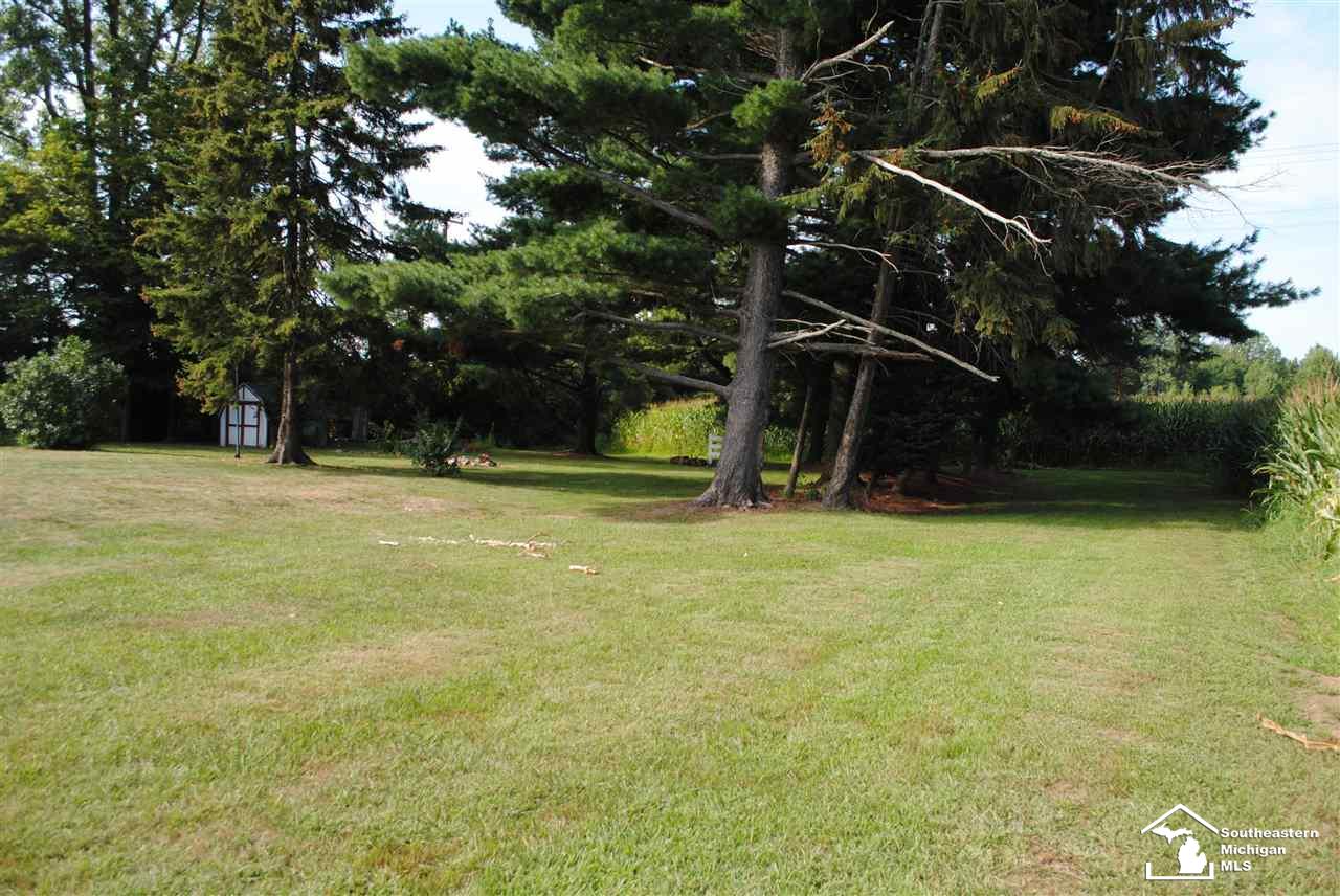 12998 South Custer Road Dundee, MI 48131 - Photo 38 of 45