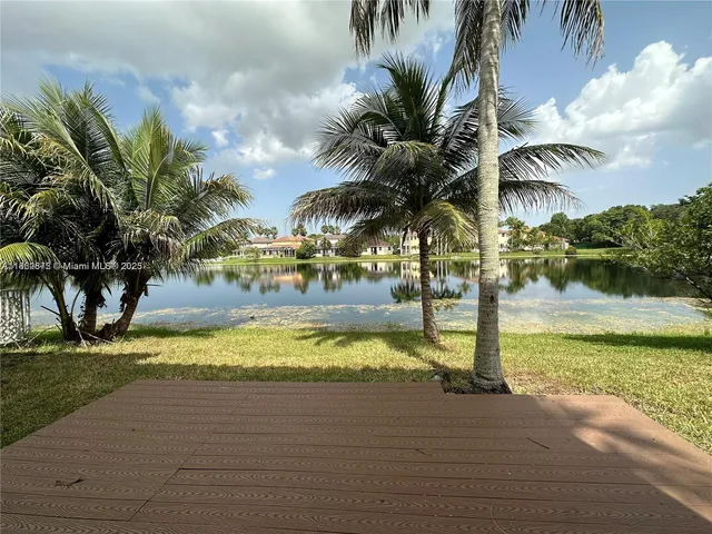 a view of a yard with palm trees