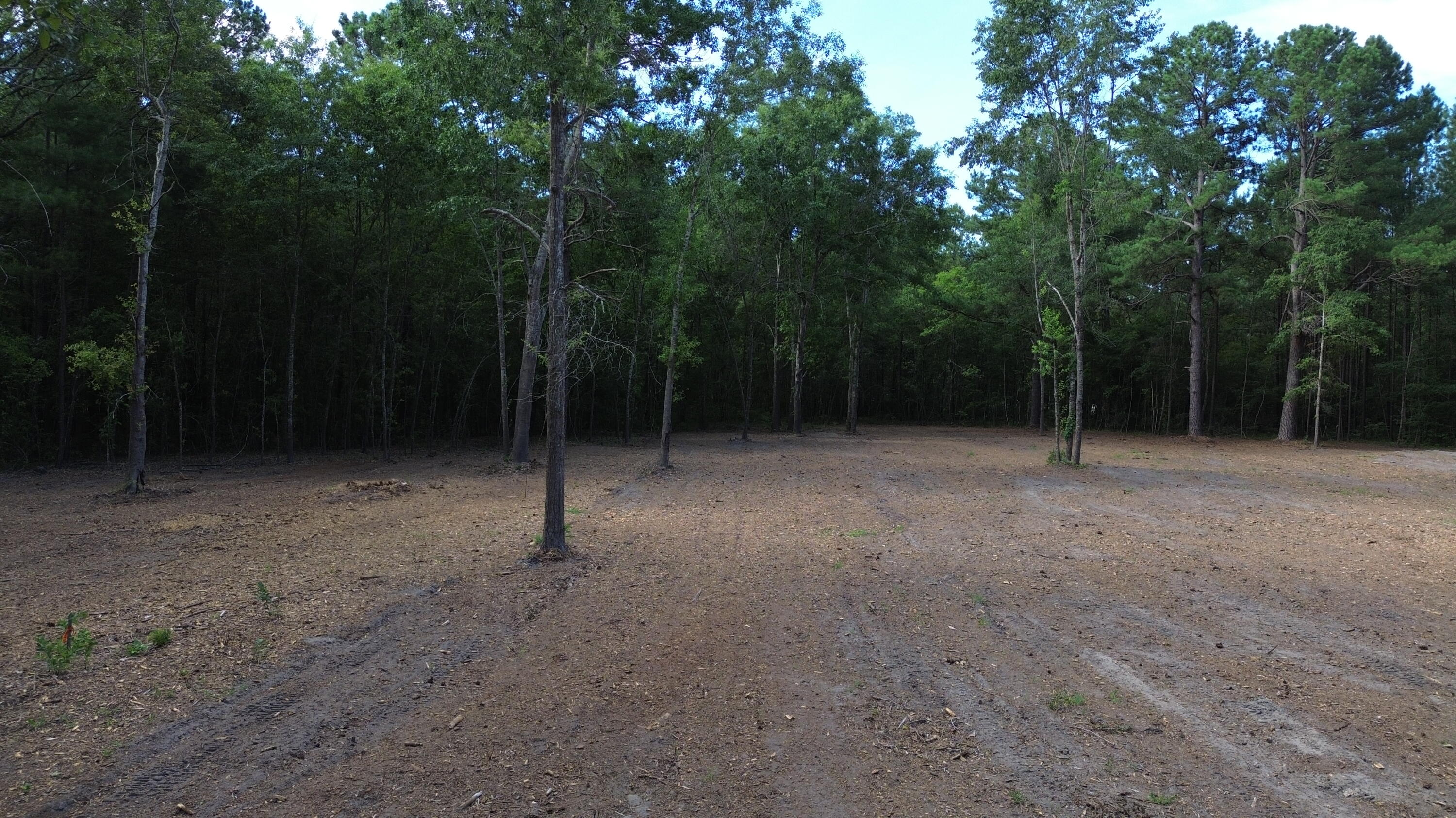 3 Trojan Road Cross, SC 29436 - Photo 11 of 21