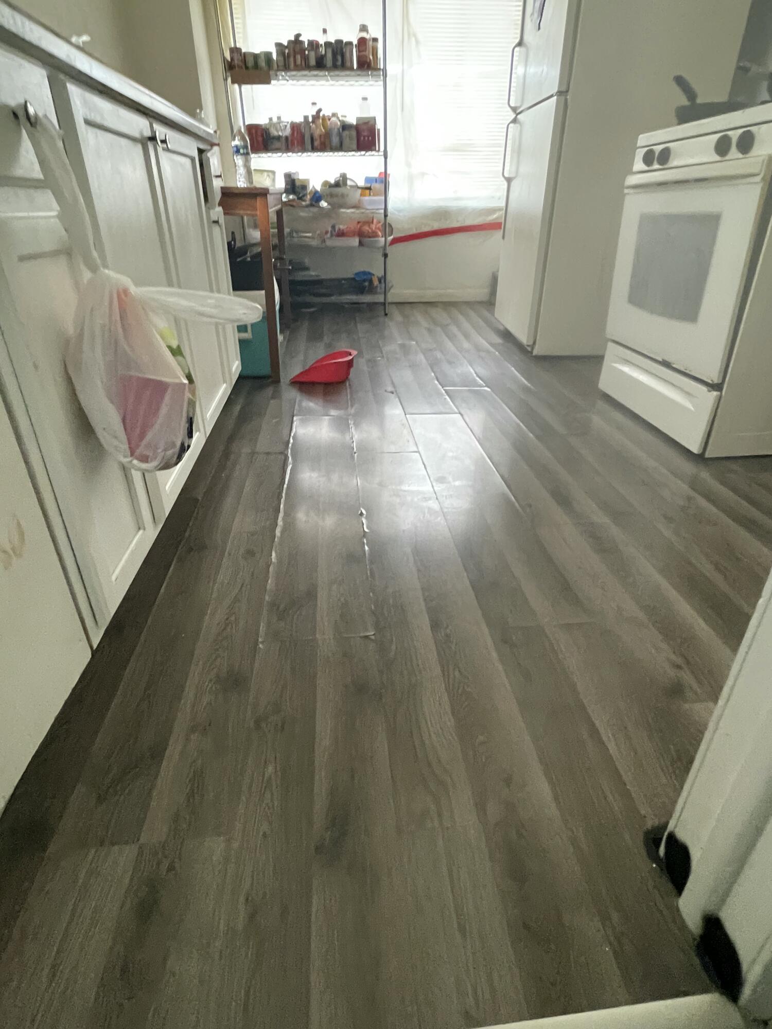 19730 Trinity Street Detroit, MI 48219 - Photo 5 of 16 file (37)