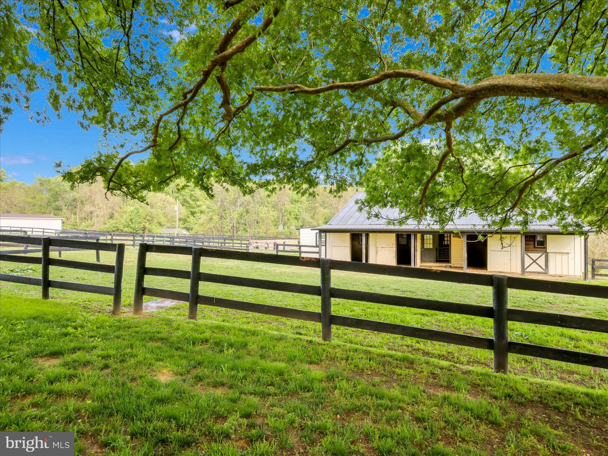 19255 Telegraph Springs Road Purcellville, VA 20132 - Photo 91 of 107 Serene equestrian retreat awaits you.