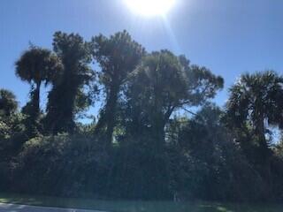 39 Jenkins Point Road Seabrook Island, SC 29455 - Photo 2 of 17 coastalrephoto39jenkinspointestmatedlotl