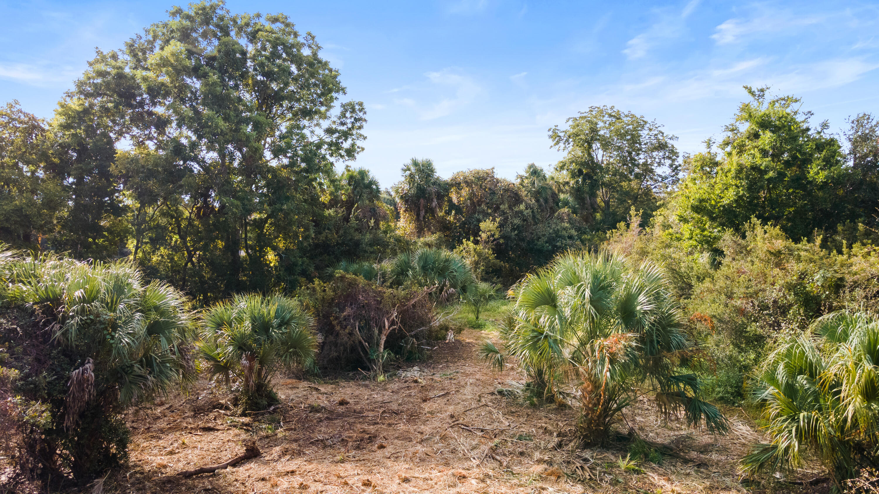 39 Jenkins Point Road Seabrook Island, SC 29455 - Photo 11 of 17 20ftCoastalRePhoto-0639