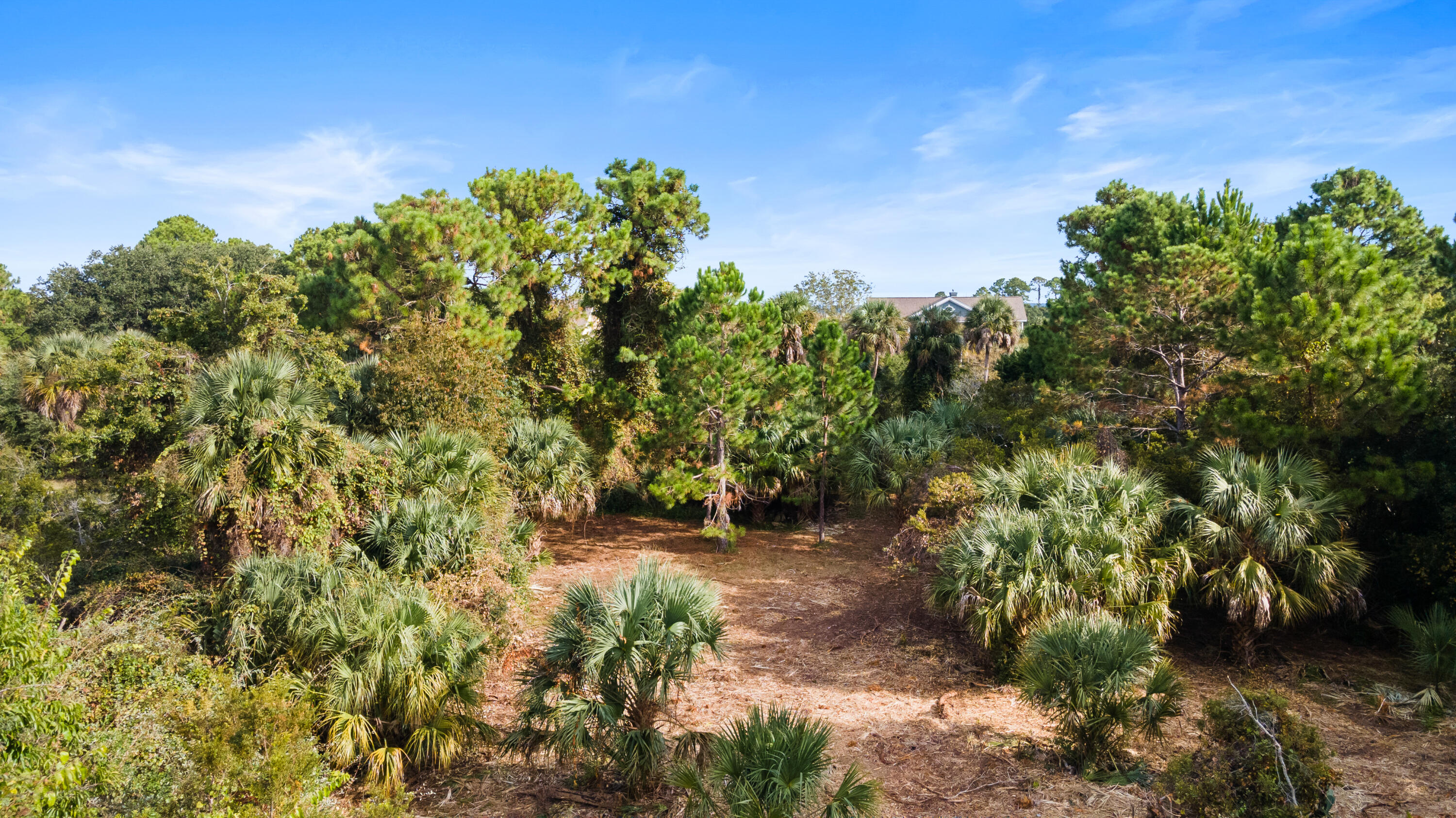 39 Jenkins Point Road Seabrook Island, SC 29455 - Photo 12 of 17 30ft-CoastalRePhoto-0629