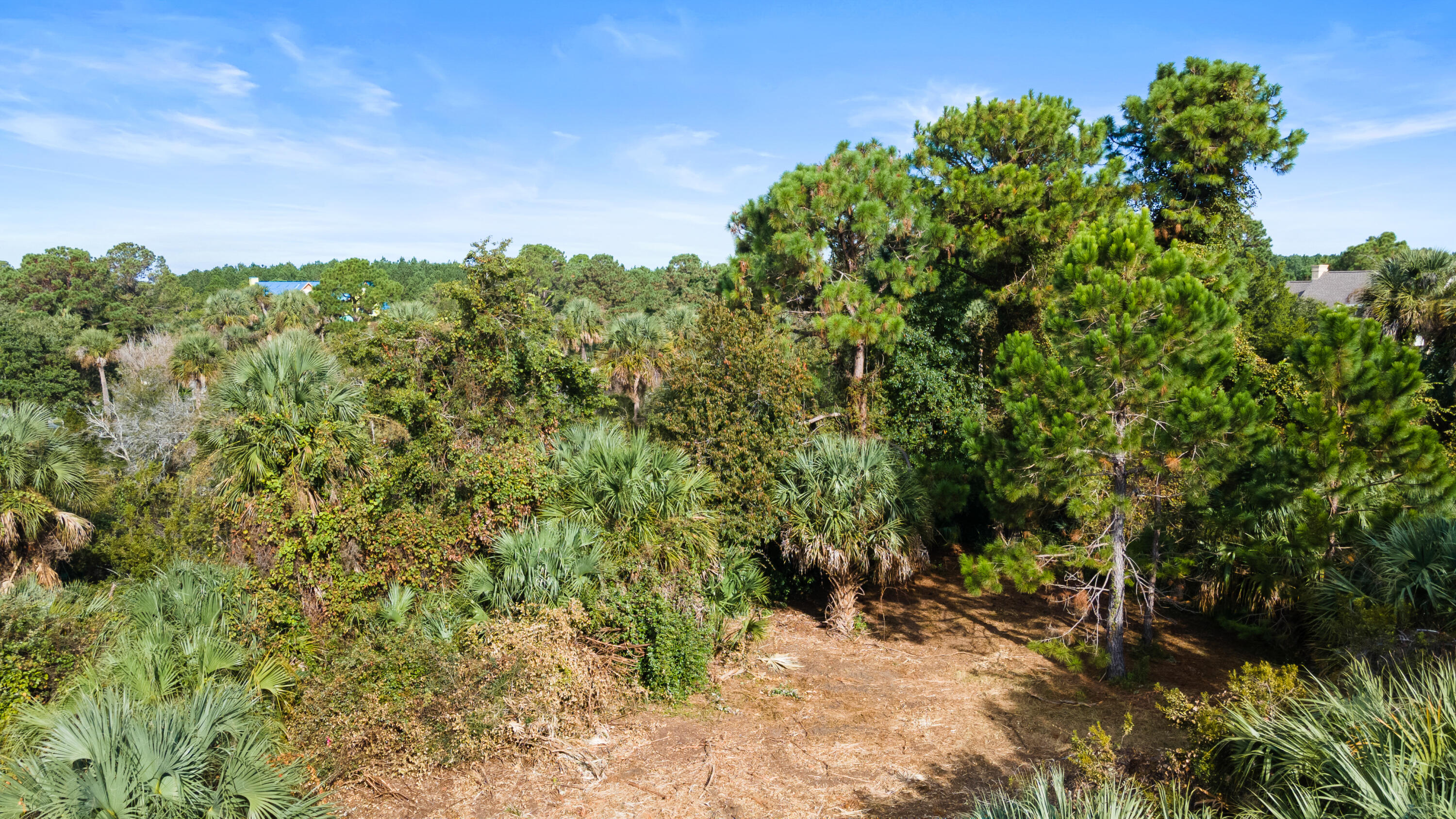 39 Jenkins Point Road Seabrook Island, SC 29455 - Photo 13 of 17 20ft-CoastalRePhoto-0669