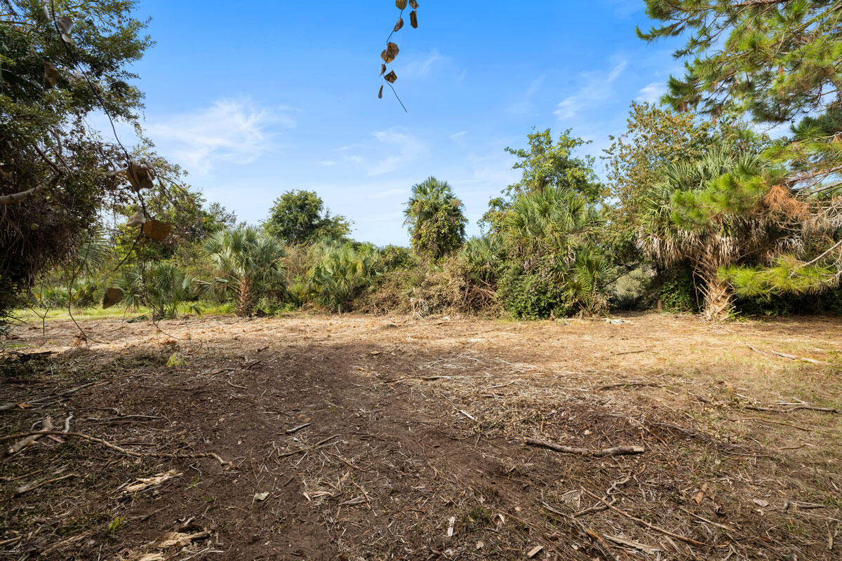 39 Jenkins Point Road Seabrook Island, SC 29455 - Photo 15 of 17 CoastalRePhoto39JenkinsGround-2