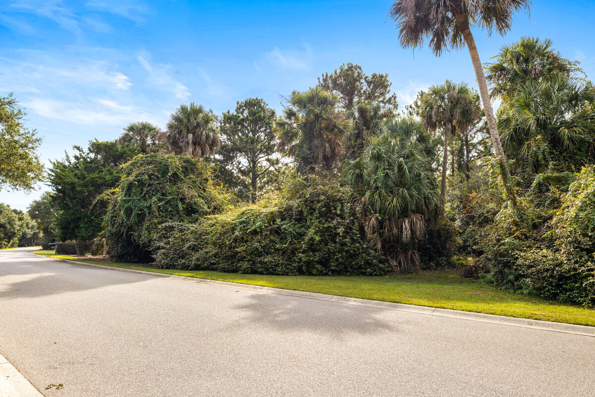 39 Jenkins Point Road Seabrook Island, SC 29455 - Photo 16 of 17 CoastalRePhoto39JenkinsGround-3