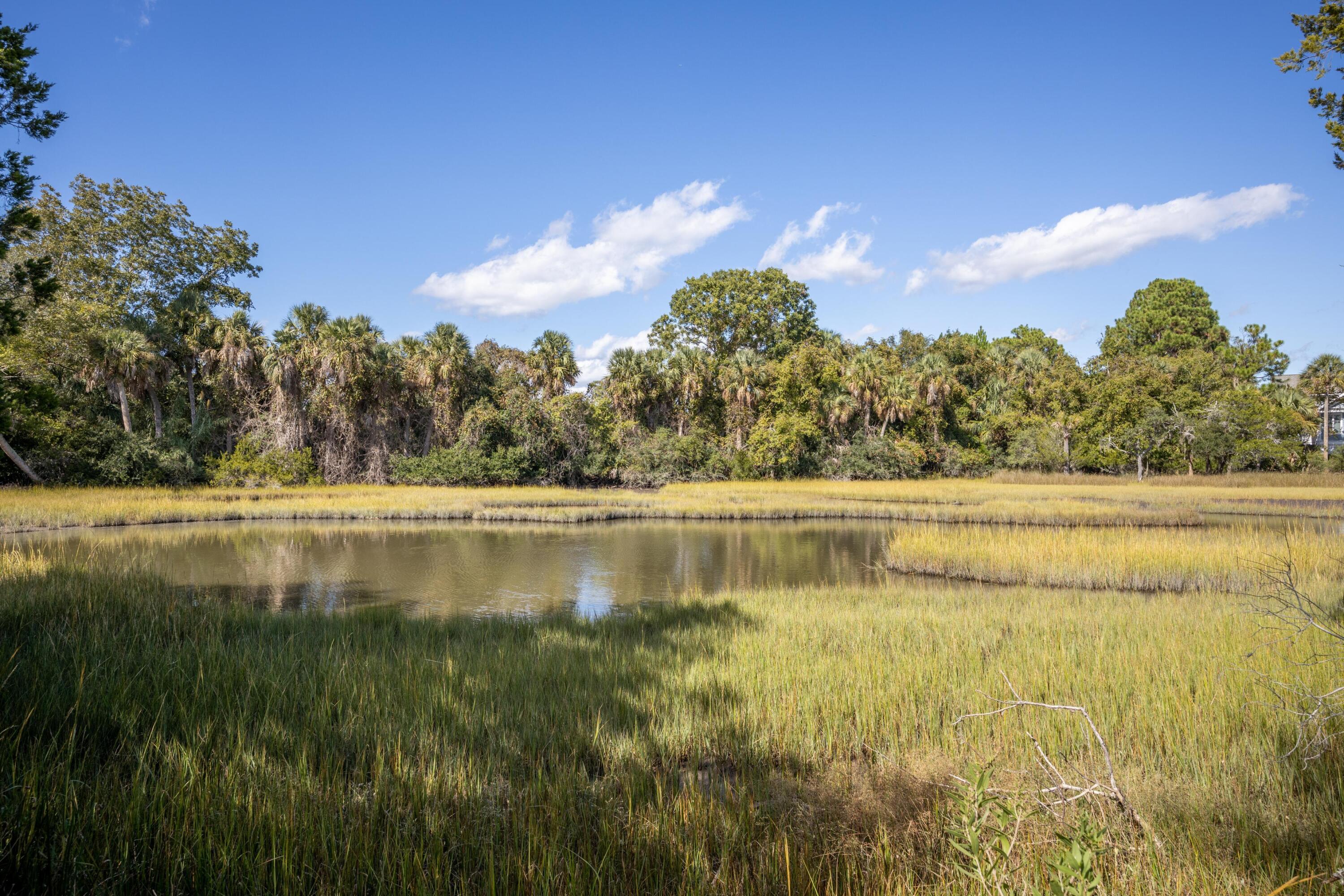 39 Jenkins Point Road Seabrook Island, SC 29455 - Photo 17 of 17 CoastalRePhoto39JenkinsGround