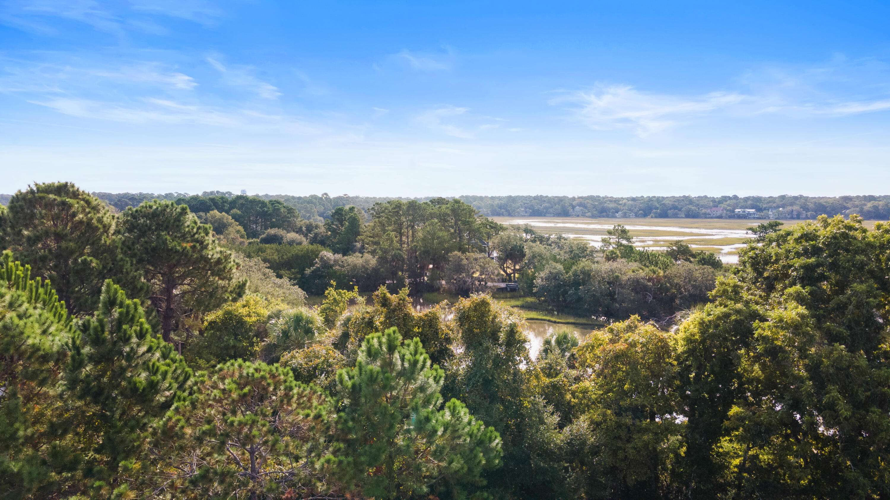 39 Jenkins Point Road Seabrook Island, SC 29455 - Photo 10 of 17 20ft-CoastalRePhoto-0644