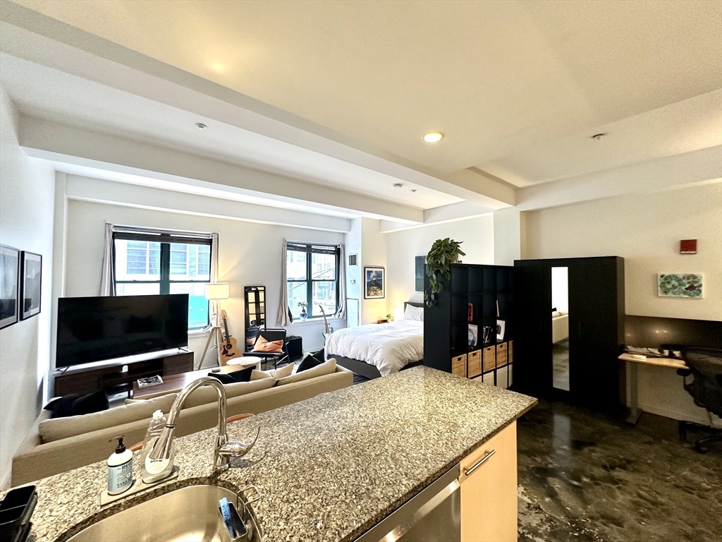 40 Fay Street, Unit 207 Boston, MA 02118 - Photo 4 of 9 a living room with furniture and a flat screen tv