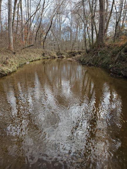 Muddy Creek Road Dillwyn, VA 23936 - Photo 20 of 21 Gallery Image 20