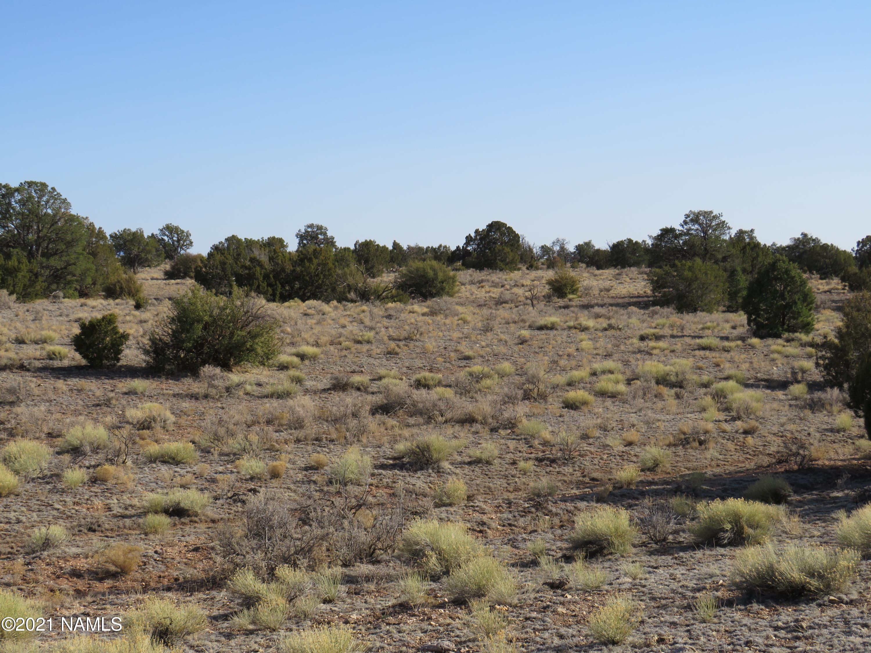 3413 North Peakview Road Williams, AZ 86046 - Photo 15 of 18 IMG_0331