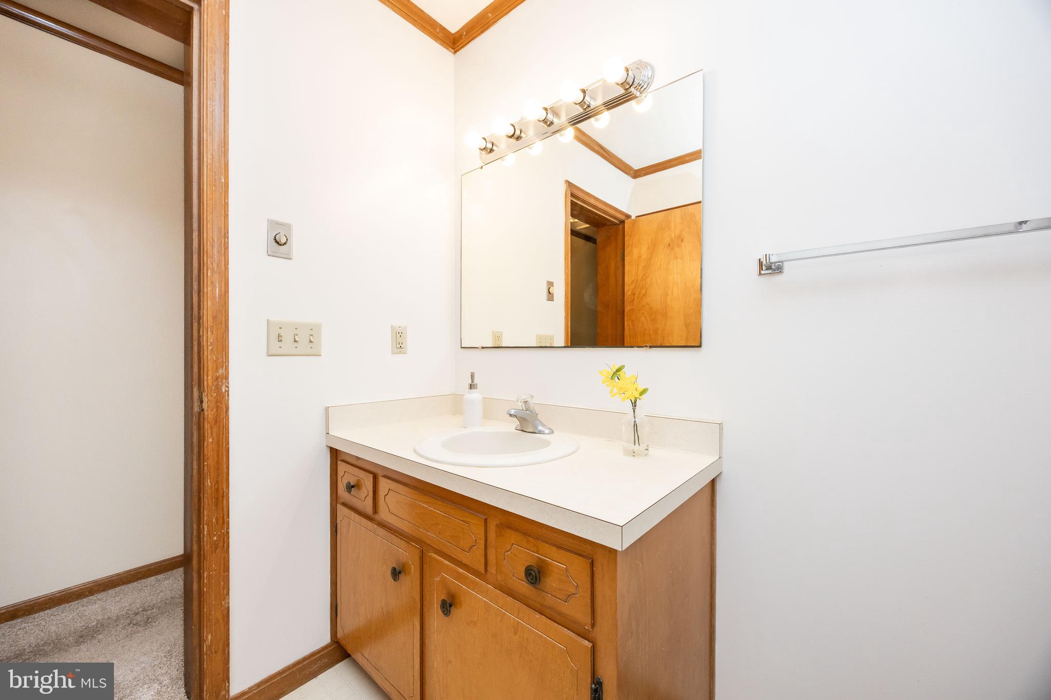 9830 Sharptown Road Mardela Springs, MD 21837 - Photo 25 of 51 a bathroom with a sink and a mirror