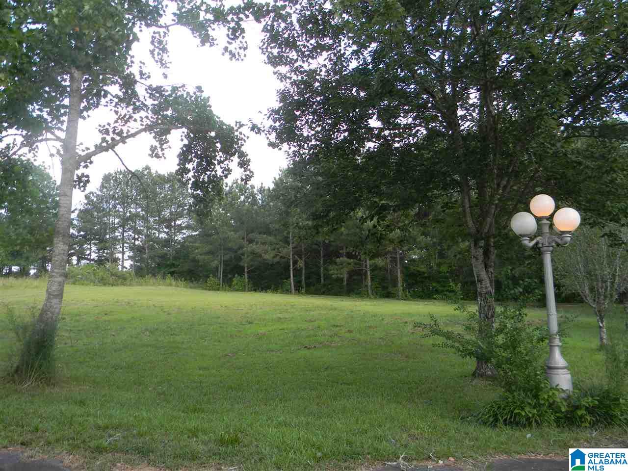 1161 Wallstown Road Hayden, AL 35079 - Photo 30 of 31