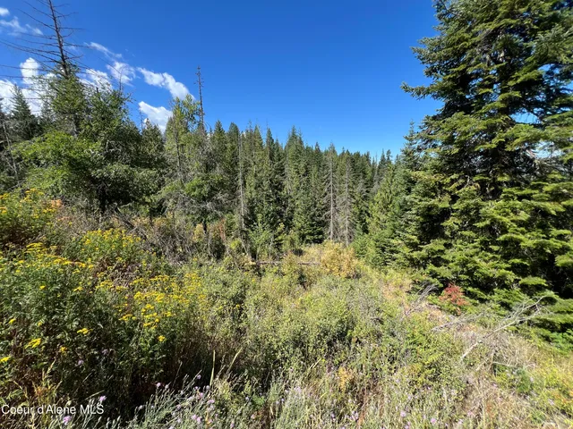 $89,000 | 10 Kingston Way, Kingston, ID 83839