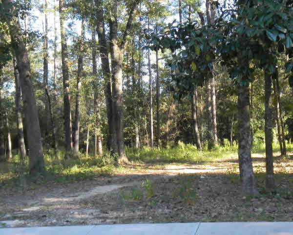 19 Rosewood Lane Daphne, AL 36526 - Photo 1 of 1