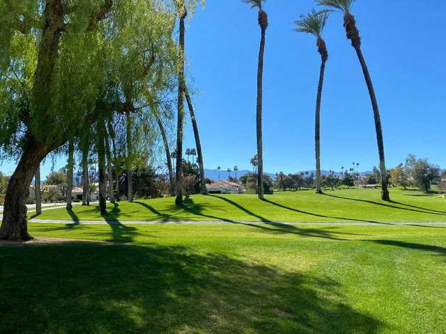 a view of a park and trees