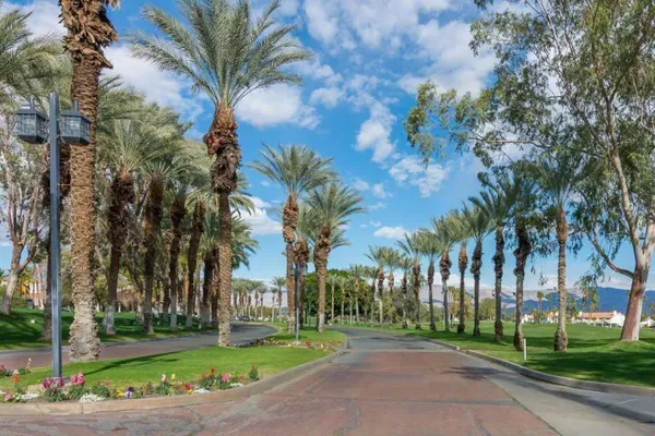 a view of a park with palm trees